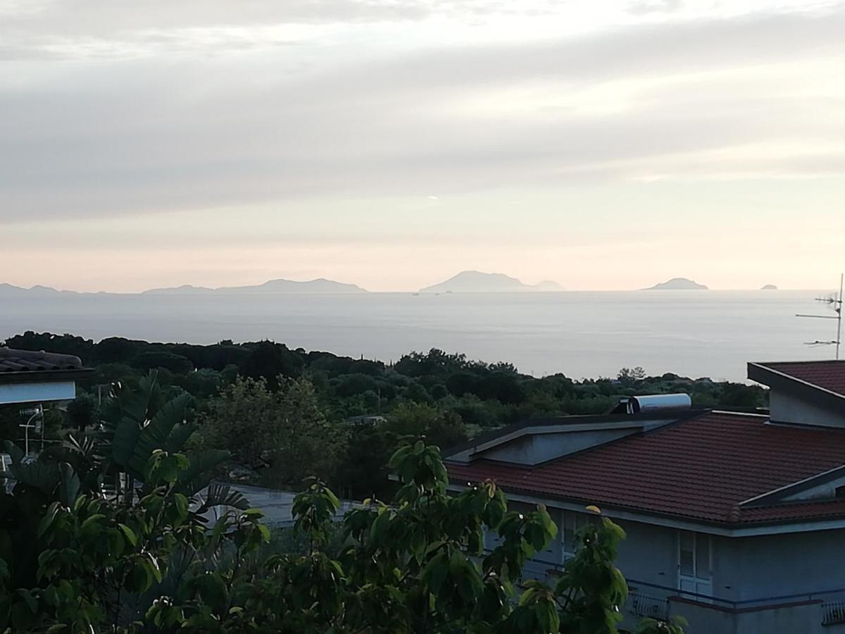 B&B Villa Orchidea Ricadi Exterior photo