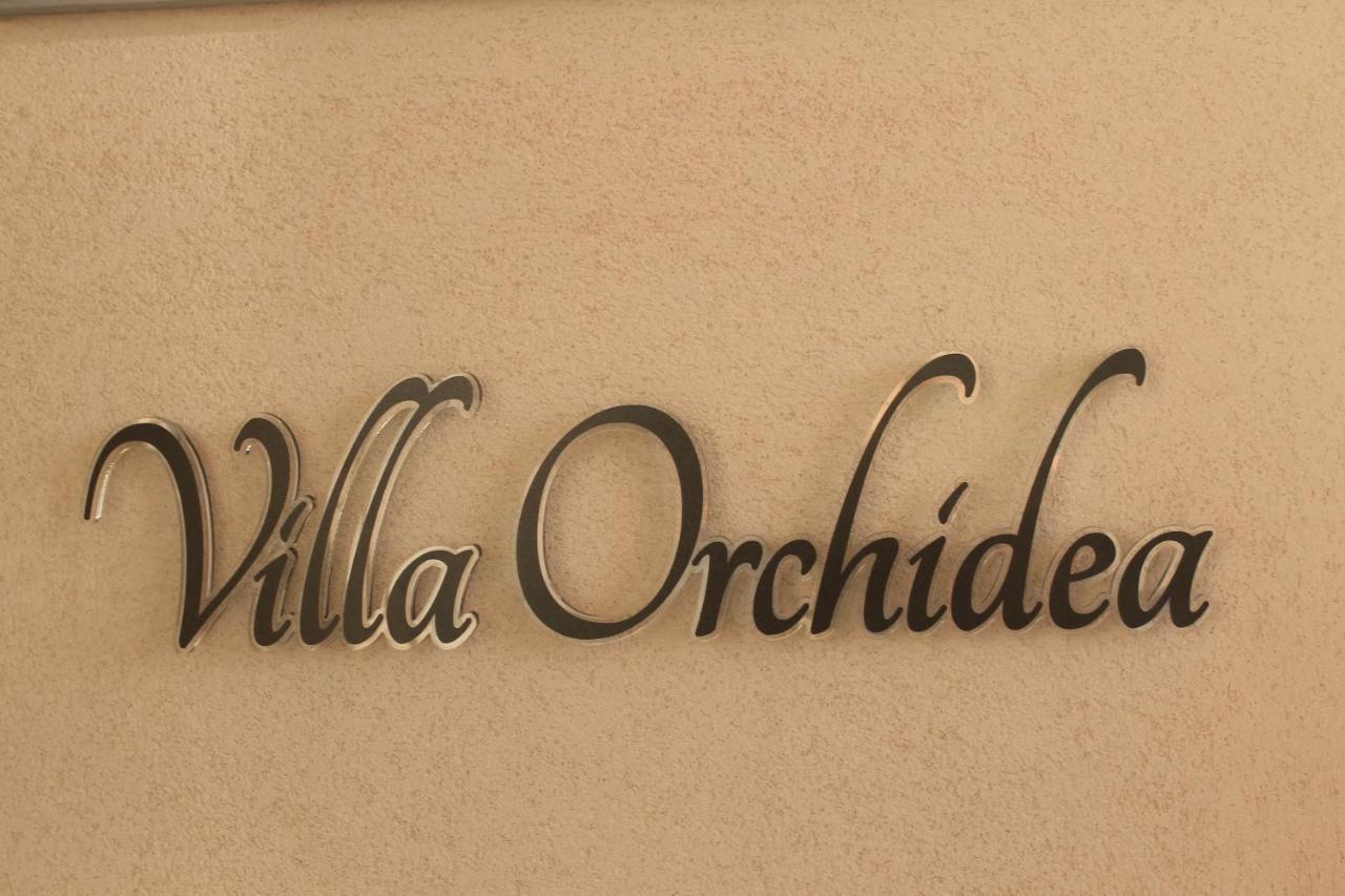 B&B Villa Orchidea Ricadi Exterior photo
