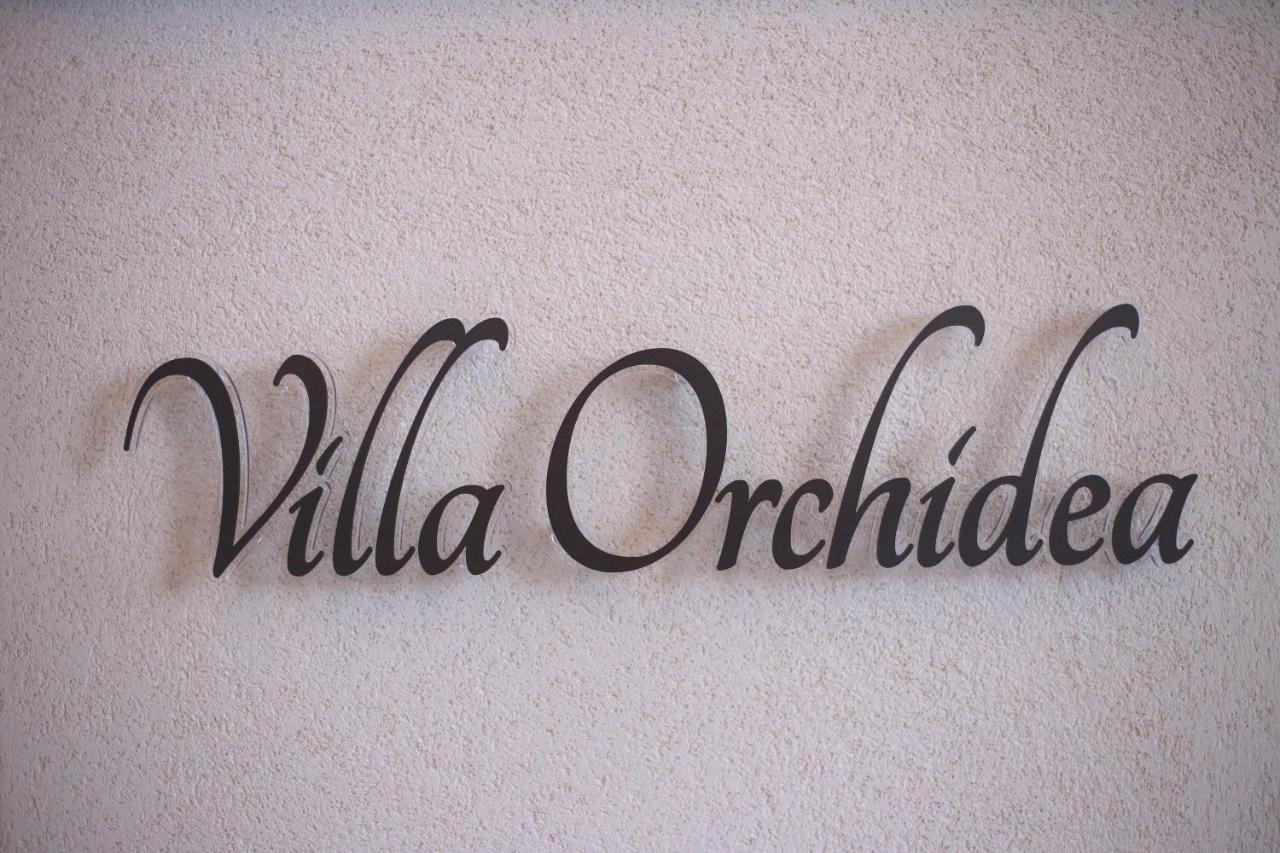 B&B Villa Orchidea Ricadi Exterior photo