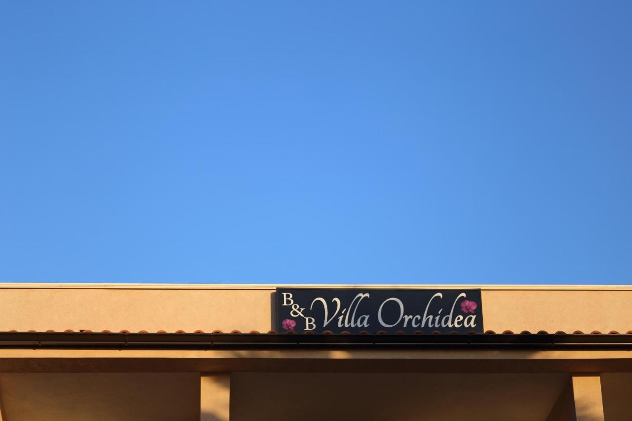 B&B Villa Orchidea Ricadi Exterior photo