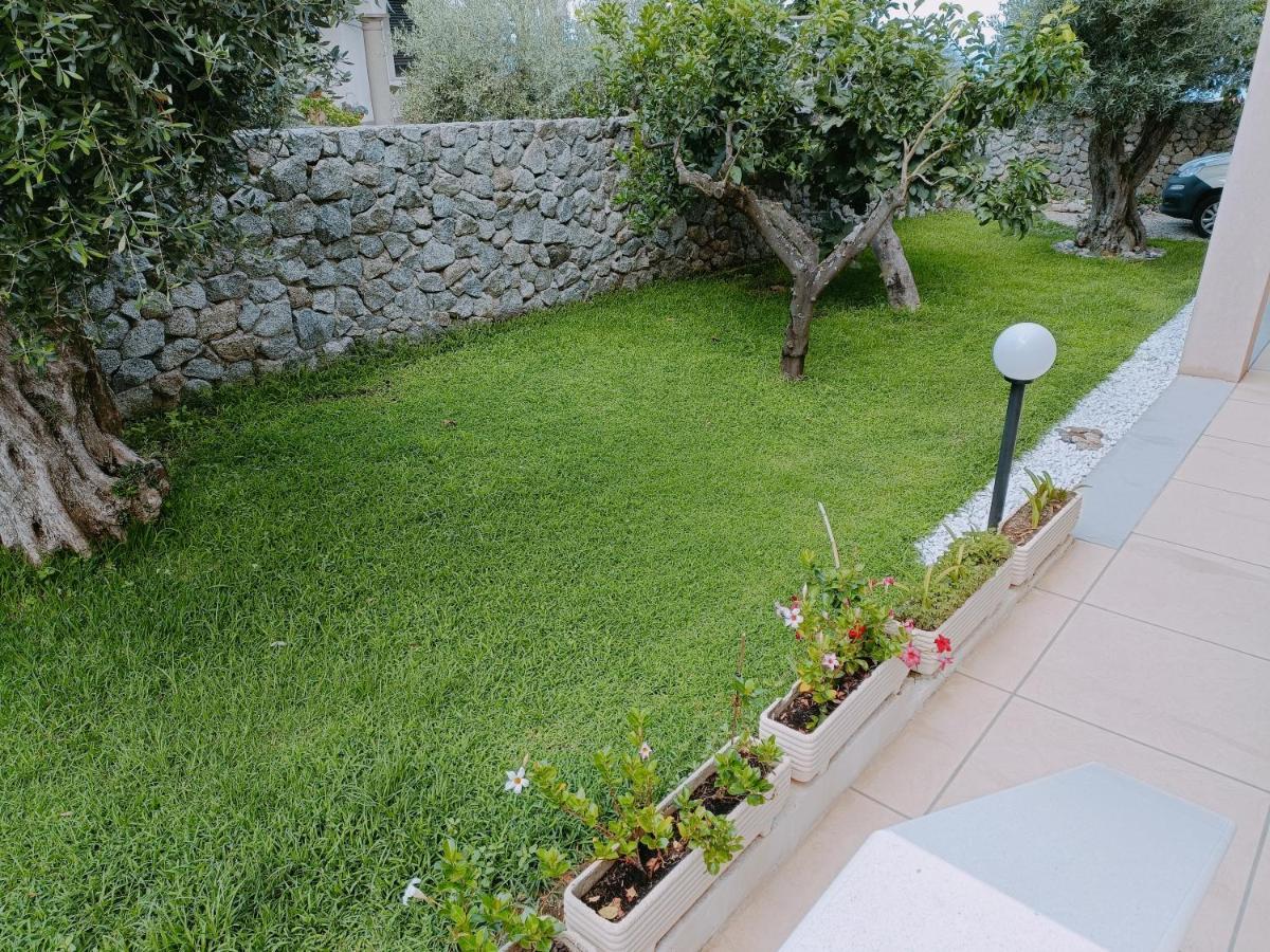 B&B Villa Orchidea Ricadi Exterior photo